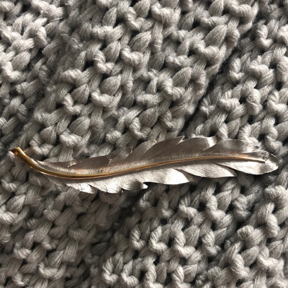 Beautiful leaf broach